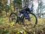 Gravel Rahmen Fyxation Quiver X Chromoly / Carbon Online