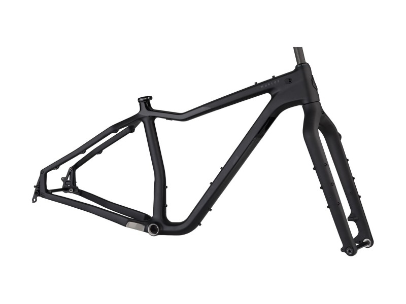 Cuadro MTB Salsa MUKLUK Fat Bike Carbono Online
