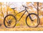 MTB-Rahmen Wilde Dark Star Stahl Hardtail 29"
